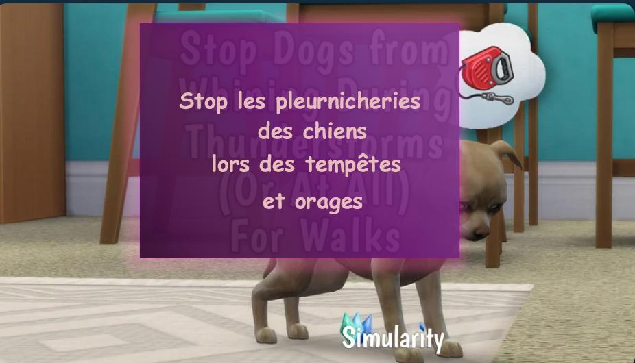 stop boire et peur des chiens simularity mods2.jpg