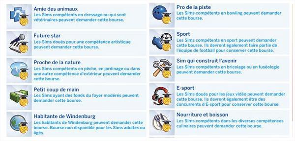 diplôme universtaire sur une plus courte période de Endiku-luniversima3.jpg