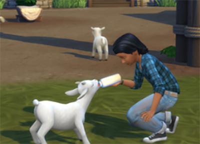 cepzid les enfants peuvent s'occuper des minis animaux.jpg