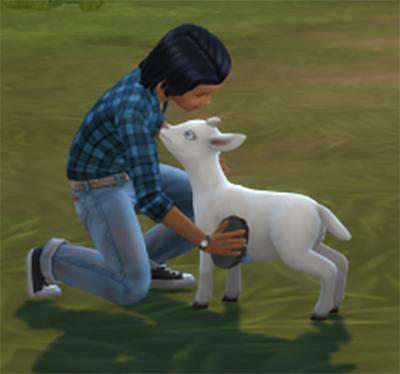 cepzid les enfants peuvent s'occuper des minis animaux2.jpg