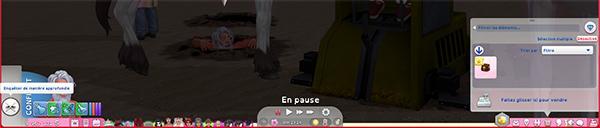 le mineur de cepzid (trou ACNH)7.jpg