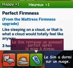 mise à niveau lit correcte pour le repos du Sim -lunatic.variant-heureux+3.jpg