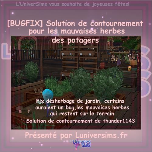 thunder1143fixdsherbagejardinprsentparluniversims.frvignette.jpg.bcc673aa19595f097c48b09c27300098.jpg