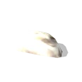 0x005bfdc3!0x000000000005bfdc.0x3c2a8647.png