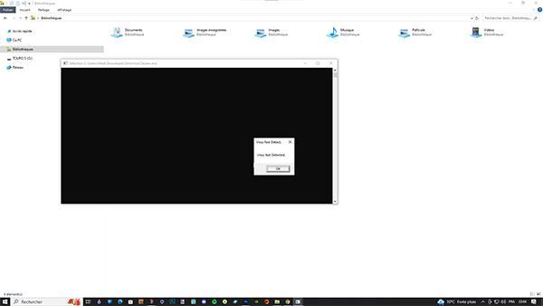 malwares mods sims4 avis de Crinrict2.jpg