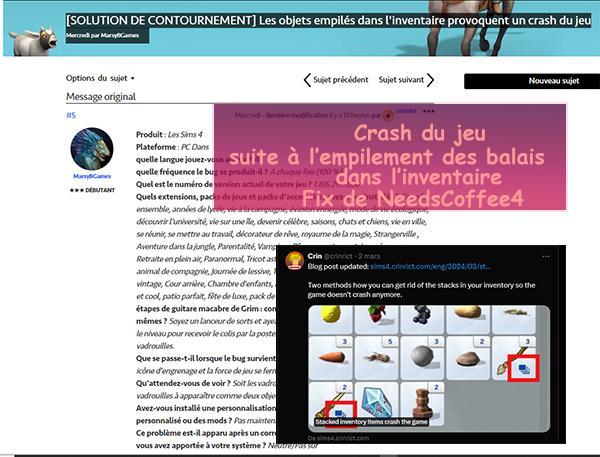 crash de l'inventaire fix de nc4t-image image complète.jpg