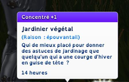 Chercher des graines et demandes des conseils jardinage non stop sur l'épouvantail-heidi-luniversSims.fr3.jpg