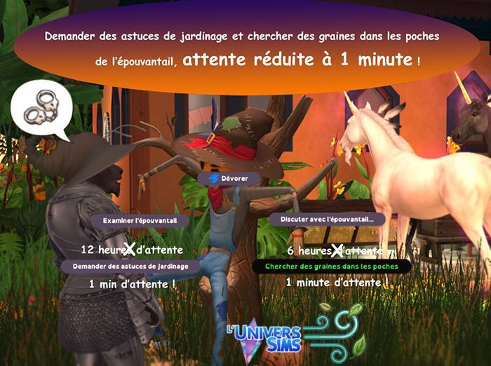Chercher des graines et demandes des conseils jardinage non stop sur l'épouvantail-heidi-luniversSims.fr4.jpg