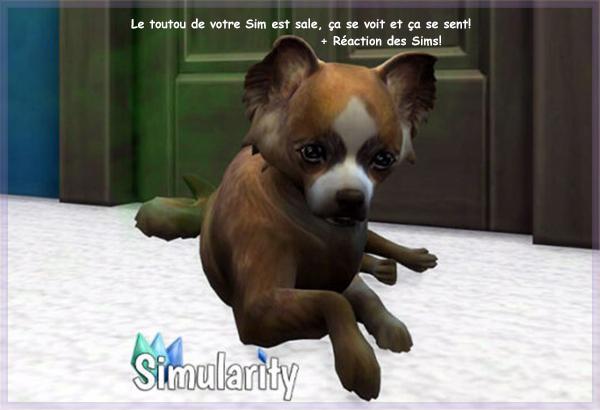 Le chien est sale, ça se voit et ça se sent-mod de Simularity présenté par LuniverSims.fr.jpg