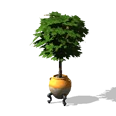 0x00647343!0x0000000000064734.0x3c2a8647.png