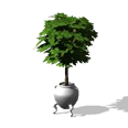 0x00647393!0x0000000000064739.0x3c2a8647.png