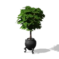 0x006473a3!0x000000000006473a.0x3c2a8647.png
