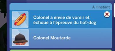 notification colonel malade à râté le concours de hotdog-luniversims.fr.jpg