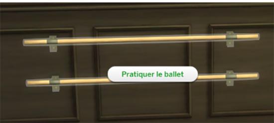 compétence ballet et Janesimsten-luniversims.fr2.jpg