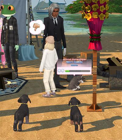 Mes animaux domestiques, littleMsSam, Luniversims.fr,  sims4, animaux non ajoutés à la famille1.jpg