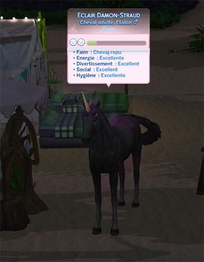 Mes animaux domestiques, littleMsSam, Luniversims.fr,  sims4, animaux non ajoutés à la famille5.jpg