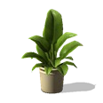 0x007056c3!0x000000000007056c.0x3c2a8647.png