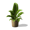 0x007056d3!0x000000000007056d.0x3c2a8647.png