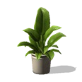 0x007056e3!0x000000000007056e.0x3c2a8647.png