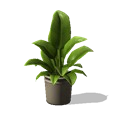 0x007056f3!0x000000000007056f.0x3c2a8647.png