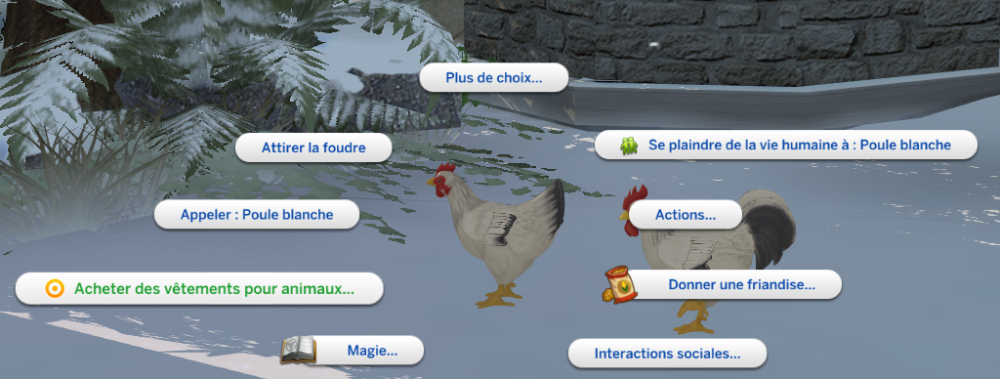 Capture d’écran 2025-02-22 101037.png