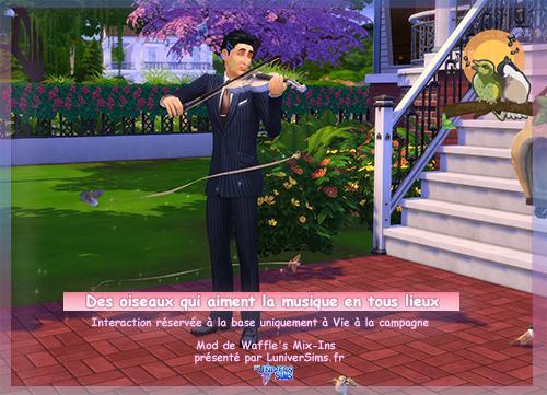 Les oiseaux qui aiment la musique en tous lieux, un mod de Waffle's Mix-Ins présenté par luniversSims.fr_sims4.jpg