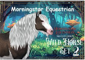 Morningstar Equestrian-theme les chevaux, TS4 cc du net-trouvaille du net,cc chevaux-cc animaux-luniversims.fr- cc horse-magic.jpg