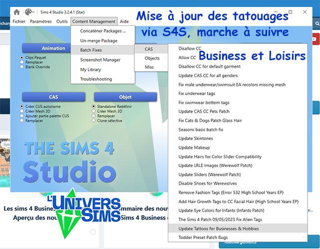 maj s4s tatouages, marche à suivre luniversims.fr.jpg