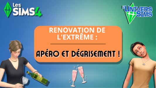 Plus d’informations sur «&nbsp;Rénovation de l'extrême : Apéro et dégrisement !&nbsp;»