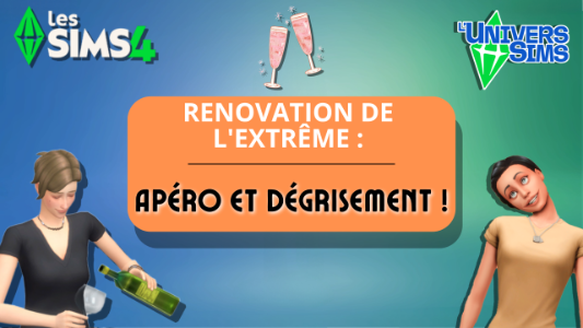 Plus d’informations sur «&nbsp;Rénovation de l'extrême : Apéro et dégrisement !&nbsp;»