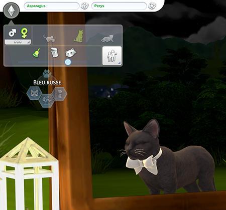 Cyan's Distractions, noms médiévaux mod, présenté par Luniversims.fr, noms medievaux pour jeux histoirques sims41.jpg