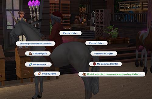 Promenade en groupe à cheval, promenade à cheval avec son chien. LittleMsSam. Luniversims.fr-1-1.jpg