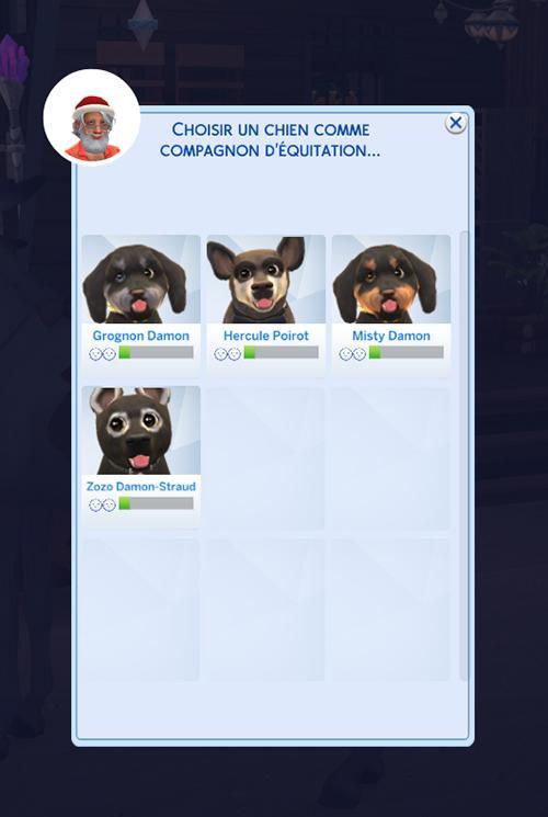 Promenade en groupe à cheval, promenade à cheval avec son chien. LittleMsSam. Luniversims.fr-1.jpg