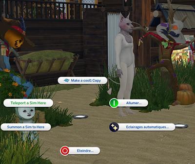 lampe pour pose 1.jpg