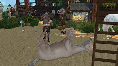 pose finale cheval1.jpg