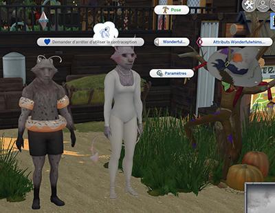 prépa pose gregeon 2.jpg