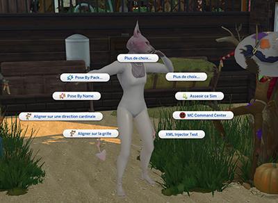 prépa pose gregeon 4.jpg