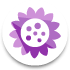 0x000000000xAFFA1696CDDA5D33_0x00B2D882.png