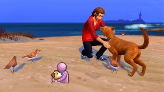 Une copine collante et un chien 🐕 | Animal Kingdom Legacy 🐾 | Les Sims 4