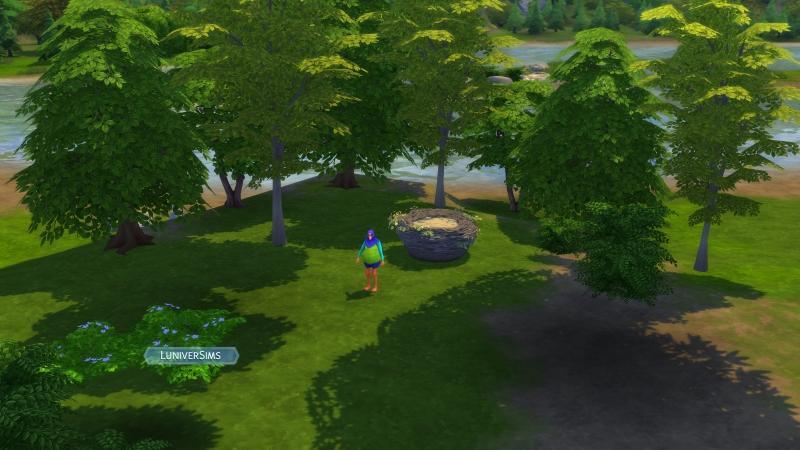 Les-Sims- 4- A- l'aventure - Découvrez le monde de Point Gibbi - La vallée de cristal- Pruella