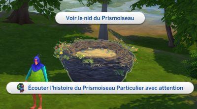 Les-Sims- 4- A- l'aventure - Découvrez le monde de Point Gibbi - La vallée de cristal- Pruella