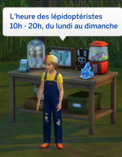 Les-Sims- 4- A- l'aventure - Découvrez le monde de Point Gibbi - La vallée de cristal- Bob- Babiole