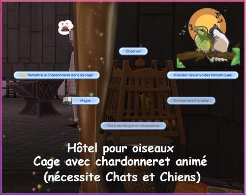 (nécessite Chats et Chiens), hotel pour oiseaux, social, naunakht, luniversims.fr, oiseau en cage sims4 mod, besoin social, discuter avec son oiseau..jpg