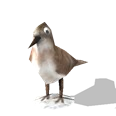 0x0074dee3!0x0000000000074dee.0x3c2a8647.png