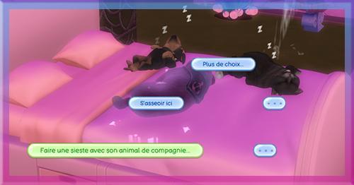 sonzakisisters et oduvnix, les animaux  de compagnie peuvent dormir sur les lits, mod sims4 présenté par luniversims.fr-menu.jpg