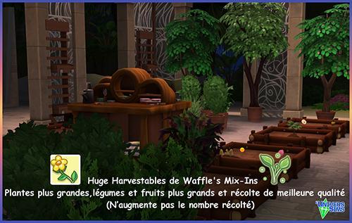 Waffle's Mix-Ins, légumes plus gros et pllus  de récolte, mod sims4, jardinage, rendement jardin, légumes, fruits, luniversSims.fr.2.jpg