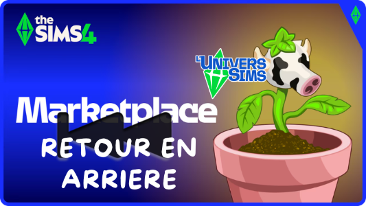 Plus d’informations sur «&nbsp;Sims 4 - Retour en arrière dans la MarketPlace&nbsp;»