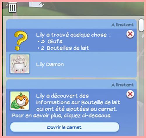 lily inventaire colis reçu sur la plage-Disl-mod sims4-Tibs-luniversims.fr1.notification.jpg