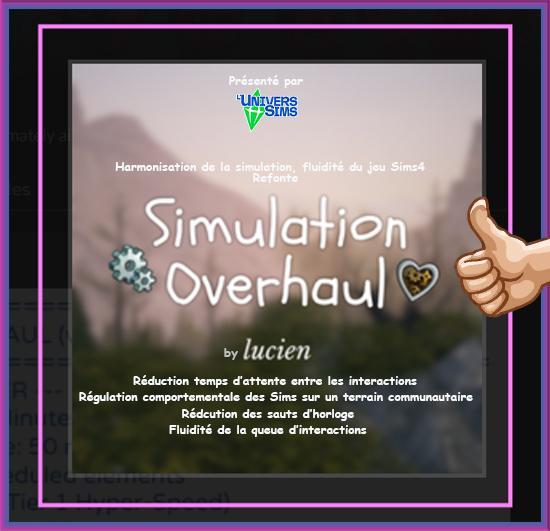 Simulation Overhaul-lucien1-révision vitesse, service, interaction, queue interaction, jeu fluide, mod, sript sims4, luniversims.fr, mod sims4.jpg