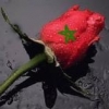 zaksara